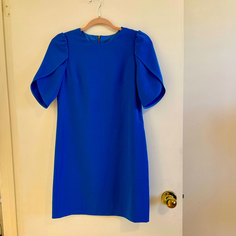 Cynthia Steffe, Women Mini Lined Dress, Blue, A-line, Overlap Sleeves, size 0